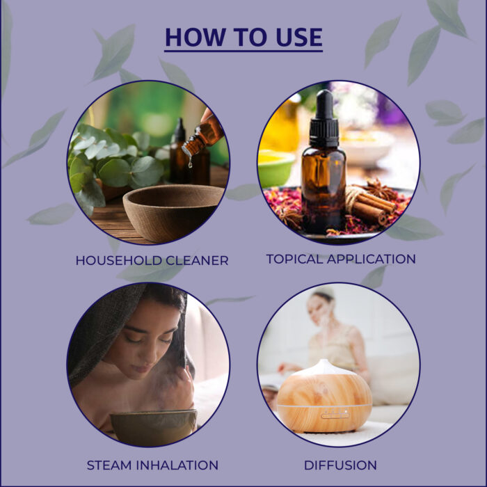 Cinnamon Essential Oil